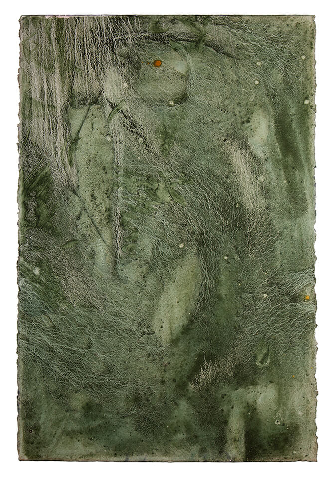 bure papel 16.jpg
